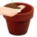 50 - 3" x 2.5"  Clay Pots - Great for Plants and Crafts   